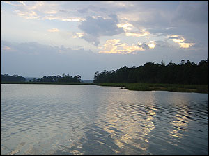 Enrique Barrera Covarrubias: Lago Bosque Azul en Chiapas, M&eacute;xico.