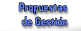 Propuesta para mi gesti�n