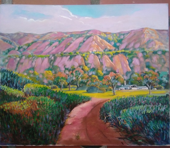 El campo.