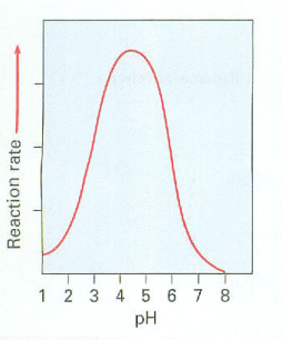 tarea12.gif