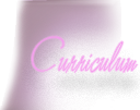 Curriculum