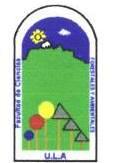 logofcfa