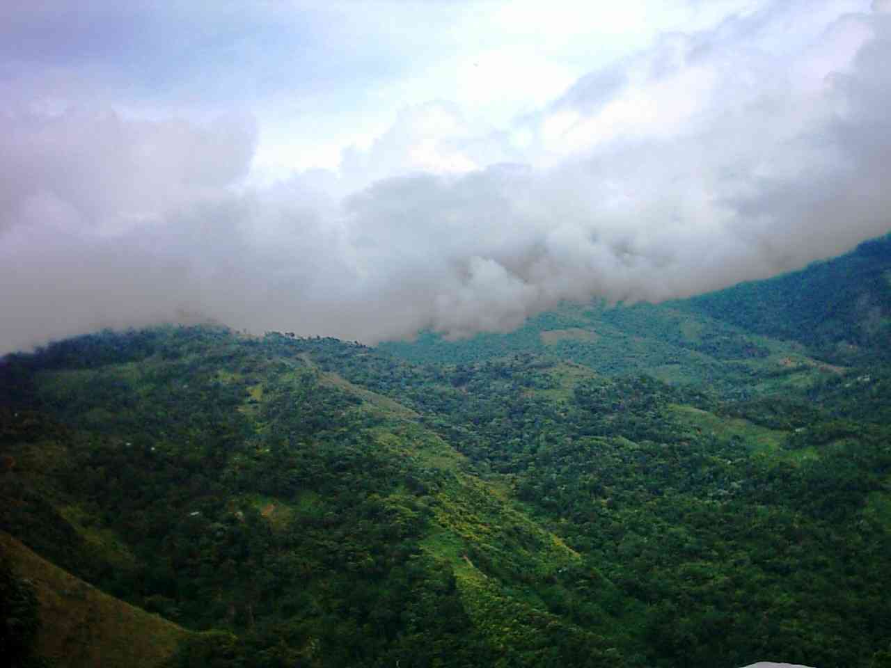 vzla