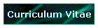 Curriculum Vitae