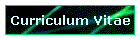 Curriculum Vitae