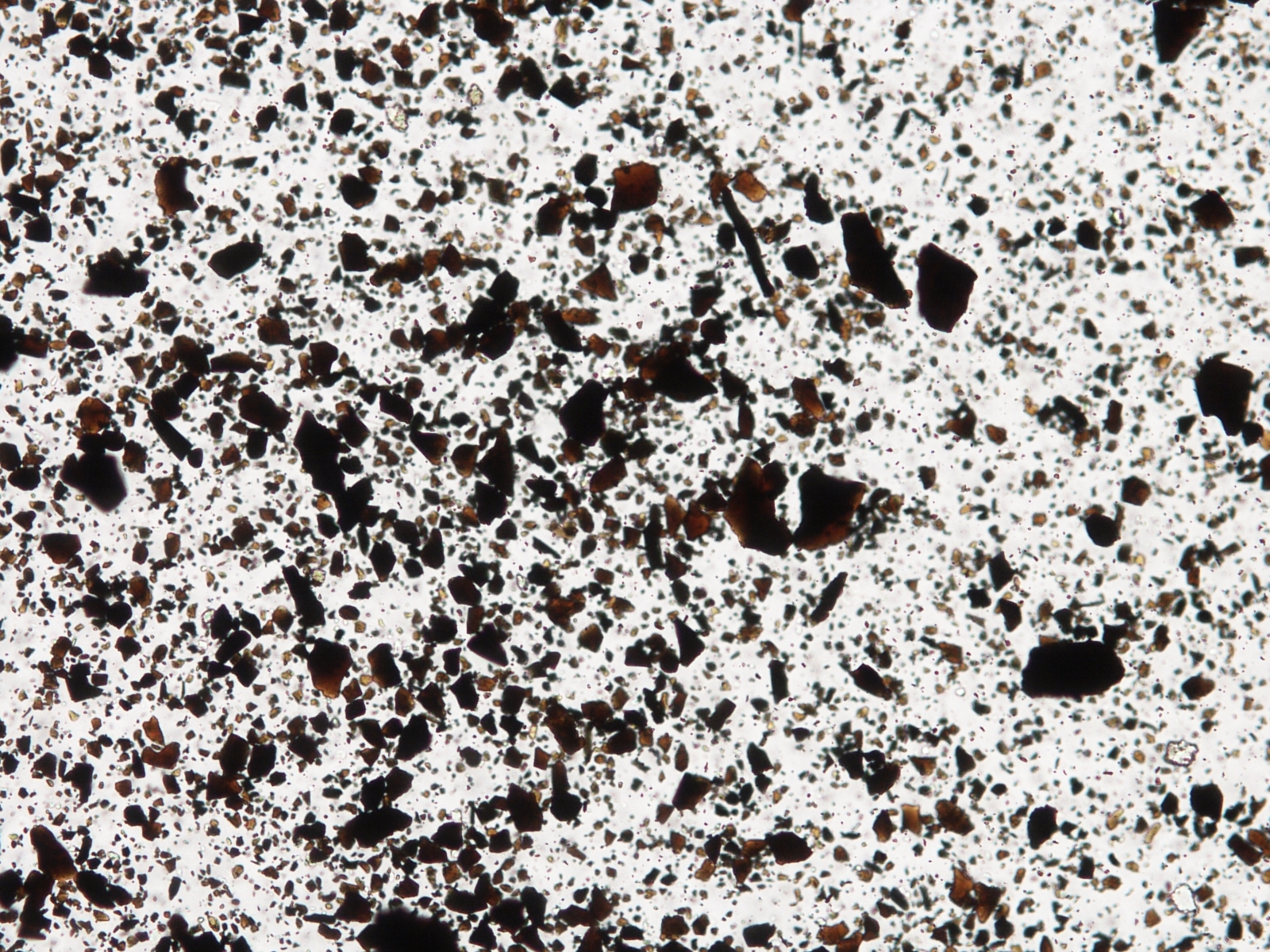 Carbon