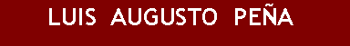 Cuadro de texto: LUIS AUGUSTO PEÑA