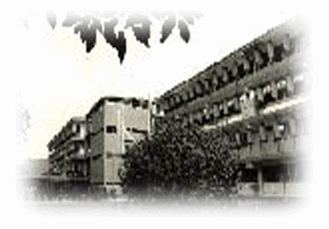 trujillo_NURR.gif (43447 bytes)