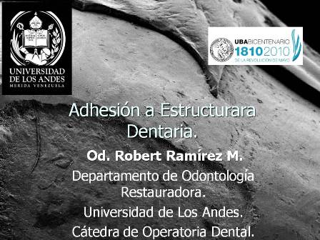 adhesion a estructura dentaria